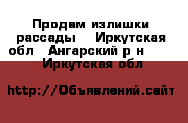 Продам излишки рассады  - Иркутская обл., Ангарский р-н  »    . Иркутская обл.